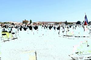 2019 07 05 AGDE  HOMMAGE AUX MORTS ET DISPARUS DU 5 07 1962 A ORAN (36)